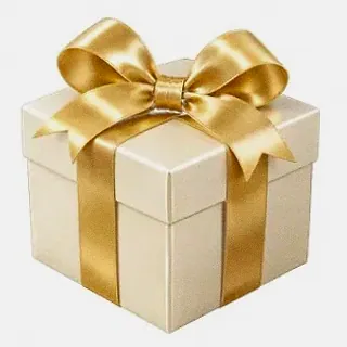 Wrapped gift box — Wicked Plays
