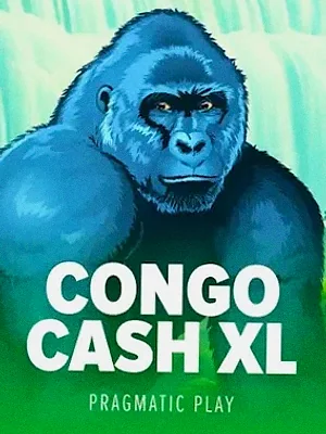 Congo Cash XL at Wicked Plays