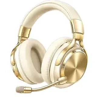 Gaming headset — Wicked Plays